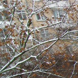 Продажа 2-комн квартиры на вторичном рынке Шебашевский проезд, 5 Продажа 2-комн квартиры на вторичном рынке Шебашевский проезд, 5