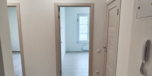 2-комн квартира Зелёный пр-кт,  д. 103