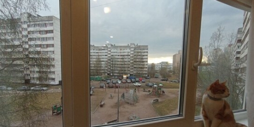 1-комн квартира Художников пр-кт,  д. 24,  к. 3