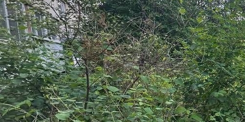 Комната Тимуровская улица, 9