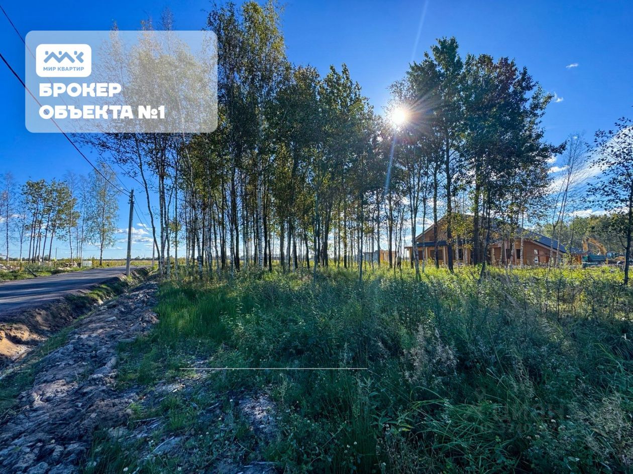 Продажа земли Павловск, Березовая улица