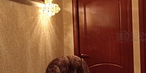 3-комн квартира Бескудниковский бульвар, 19к2