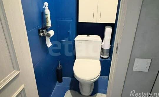 Продажа 1-комн квартиры на вторичном рынке Просвещения пр-кт,  д. 99