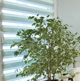 Продажа 2-комн квартиры на вторичном рынке Краснобогатырская улица, 7