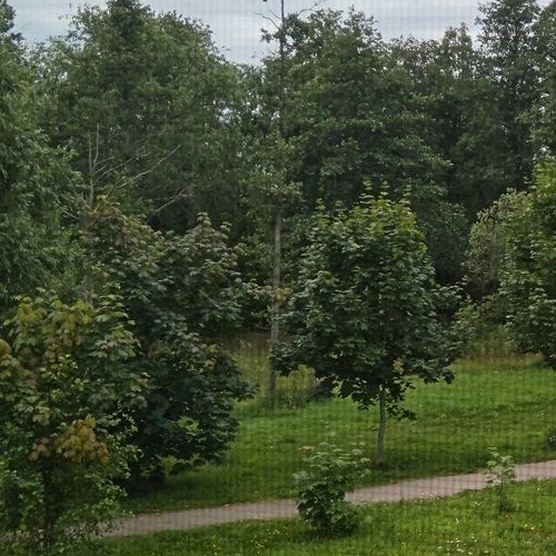 3-комн квартира Приозерск, улица Героя Богданова, 7