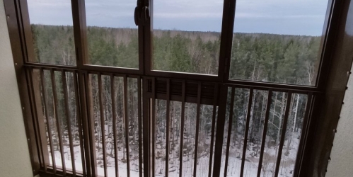 1-комн квартира Ломоносов г., Михайловская ул. ,  д. 51