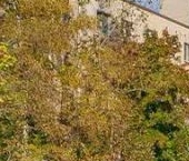 Продать Квартиры вторичка Дачный проспект, 24   