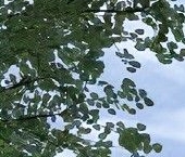 Продать Квартиры вторичка Полярная улица, 4/1   