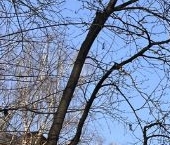 Продать Квартиры вторичка Партизанская улица, 13К1   