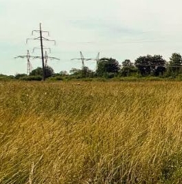 Продажа земли Альборг кп, д. Подол, 29