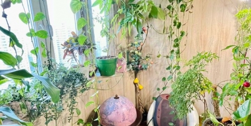 3-комн квартира Высоковольтный проезд,  д. 1 к8