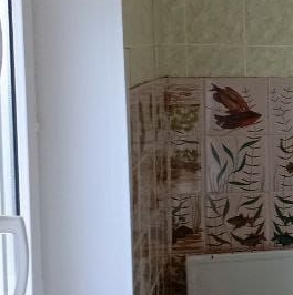 Аренда 1-комн квартиры на вторичном рынке Новомарьинская улица, 5 Аренда 1-комн квартиры на вторичном рынке Новомарьинская улица, 5