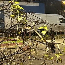 Продажа 2-комн квартиры на вторичном рынке улица Полбина, 36