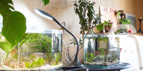 4-комн квартира улица Яблочкова, 3