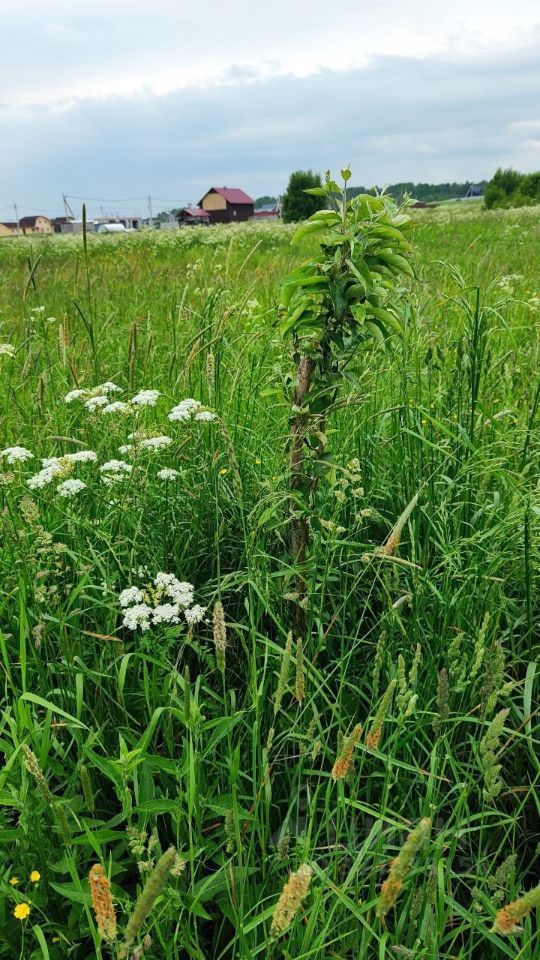 Продажа земли д. Еглизи, проезд 4-й, 418