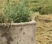 Продать Земельные участки, земля д. Войтолово, 90   