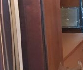 Продать Квартиры вторичка 11-я Парковая улица, 34   