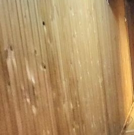 Продажа 3-комн квартиры на вторичном рынке Кировск, Молодежная улица, 3