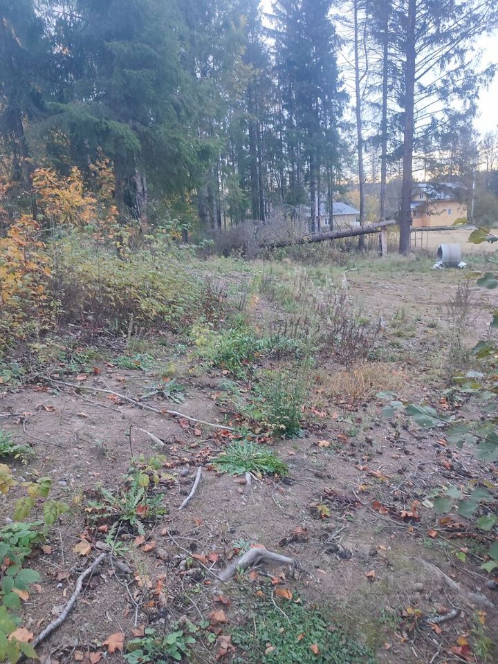 Продажа земли д. Вартемяги, шоссе Приозерское