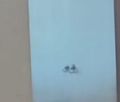 Продать Комнаты в квартирах 5-я Парковая улица, 48к2   