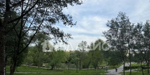 1-комн квартира улица Молодцова,  д. 1В