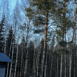 Продажа дома Пустынька СНТ Продажа дома Пустынька СНТ