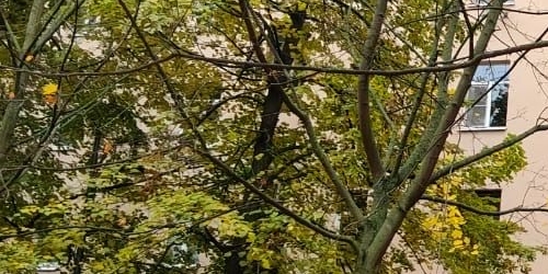 2-комн квартира Московский проспект, 170