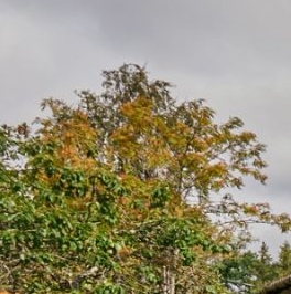 Продажа дома Южная улица, 3 Продажа дома Южная улица, 3