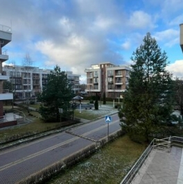 Продажа 1-комн квартиры на вторичном рынке Обушковское с/п, Писково д, Парковая ул,  д. 164