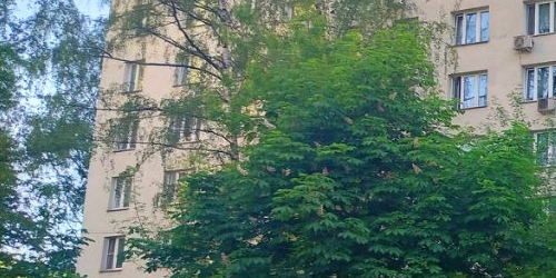 2-комн квартира Анадырский проезд, 49