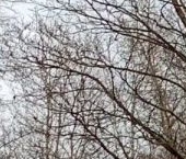 Продать Квартиры вторичка Таллинская улица, 15   