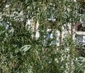 Продать Квартиры вторичка улица Генерала Кузнецова, 26К1   