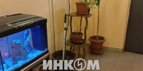 1-комн квартира Бунинская Аллея ул,  д. 2