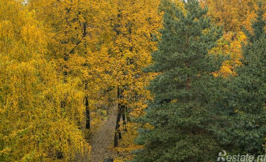 Продажа 5-комн квартиры на вторичном рынке Усачёва улица