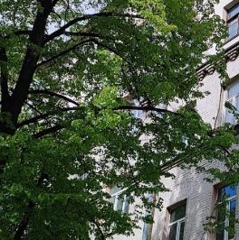 Продажа 4-комн квартиры на вторичном рынке Новая Басманная улица, 31С3