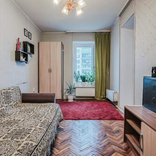 1-комн квартира Пискаревский пр-кт,  д. 21 к2