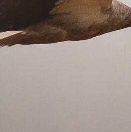 Аренда 1-комн квартиры на вторичном рынке улица Среднерогатская, 13к2