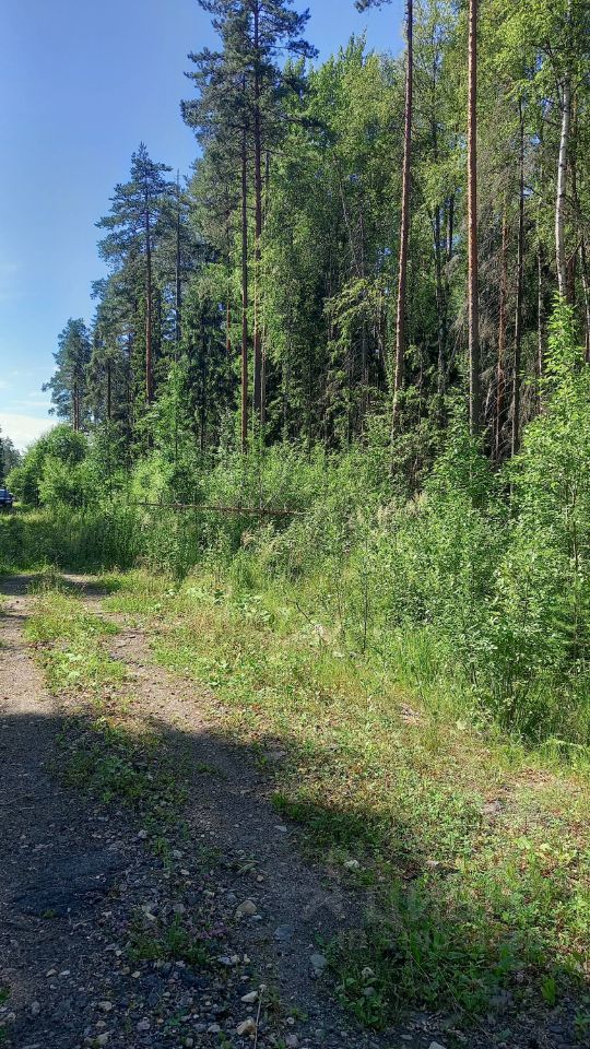 Продажа земли Ранет СНТ,  д. 23