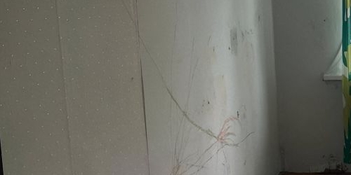 2-комн квартира Малая Охта тер., улица Казанская, 18