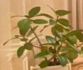 Продать Квартиры вторичка Вознесенский проспект, 55   