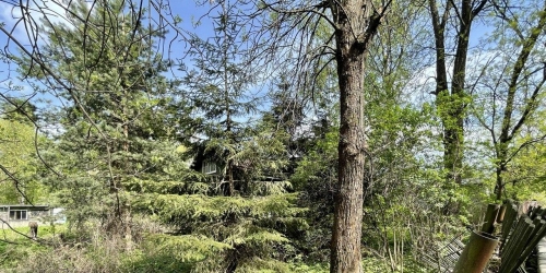 Земельный участок посёлок Понтонный, Школьный переулок, д.11