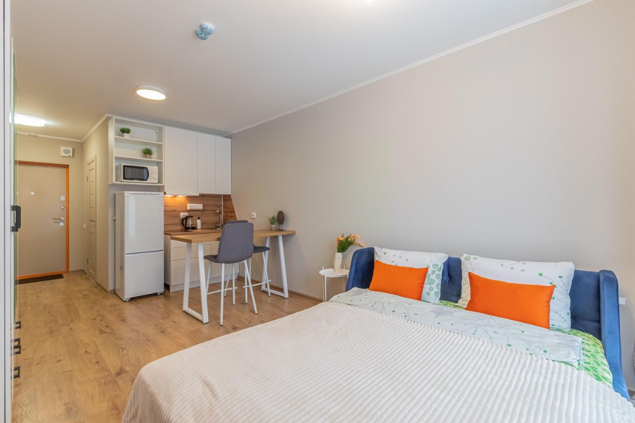 Аренда студии пос. Парголово, проезд Толубеевский, 8к2