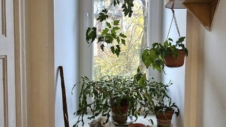 Комната улица Доватора, 11К2