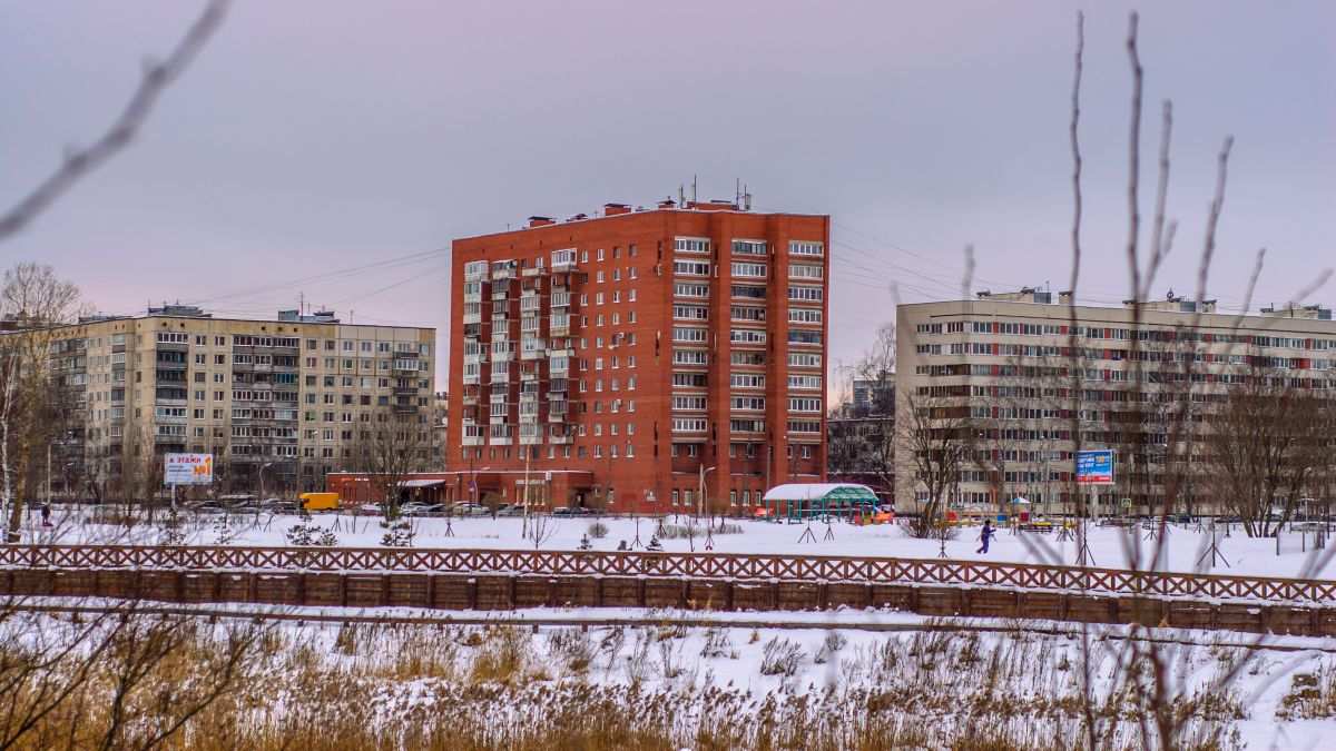 Петербургский рынок вторички лихорадит: страх перед мошенниками меняет сделки