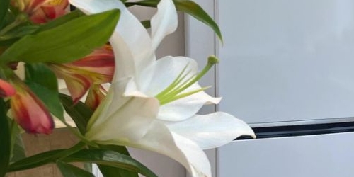 1-комн квартира бульвар Новаторов, 22