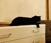 Продать Квартиры вторичка Приморский проспект, 141К2   