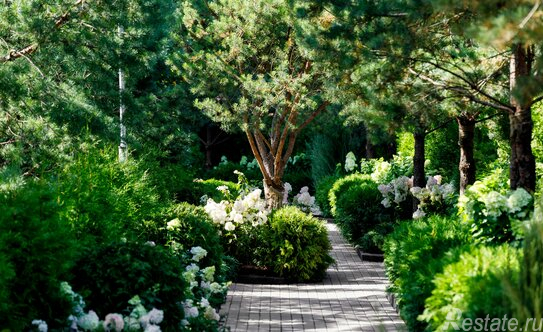 Продажа 2-комн квартиры на вторичном рынке Луговая улица,  д. 20В к2