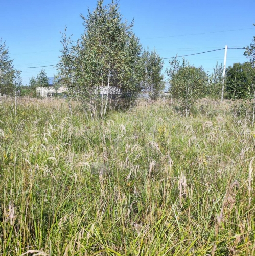 Земельный участок Карпово с.,