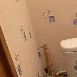 Аренда 2-комн квартиры на вторичном рынке Кингисепп, Крикковское шоссе, 27/50