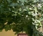 Продать Квартиры вторичка Булатниковский проезд, 6к1   